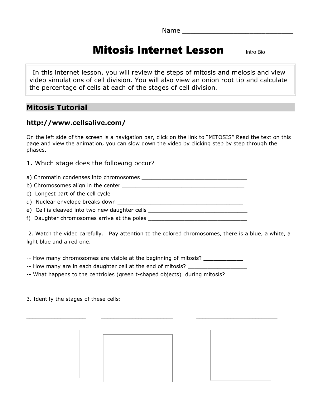 Mitosis Internet Lesson Intro Bio