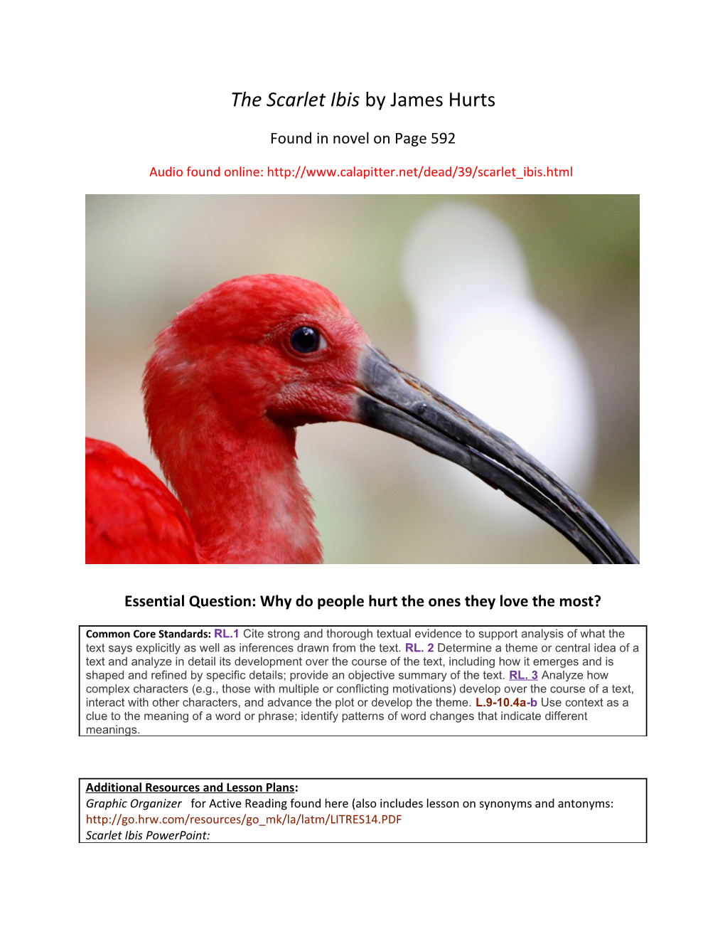 The Scarlet Ibis by James Hurts