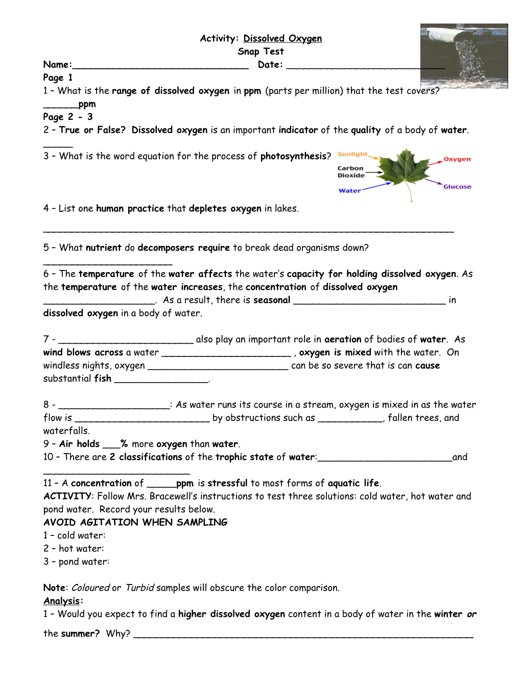 Activity: Dissolved Oxygen