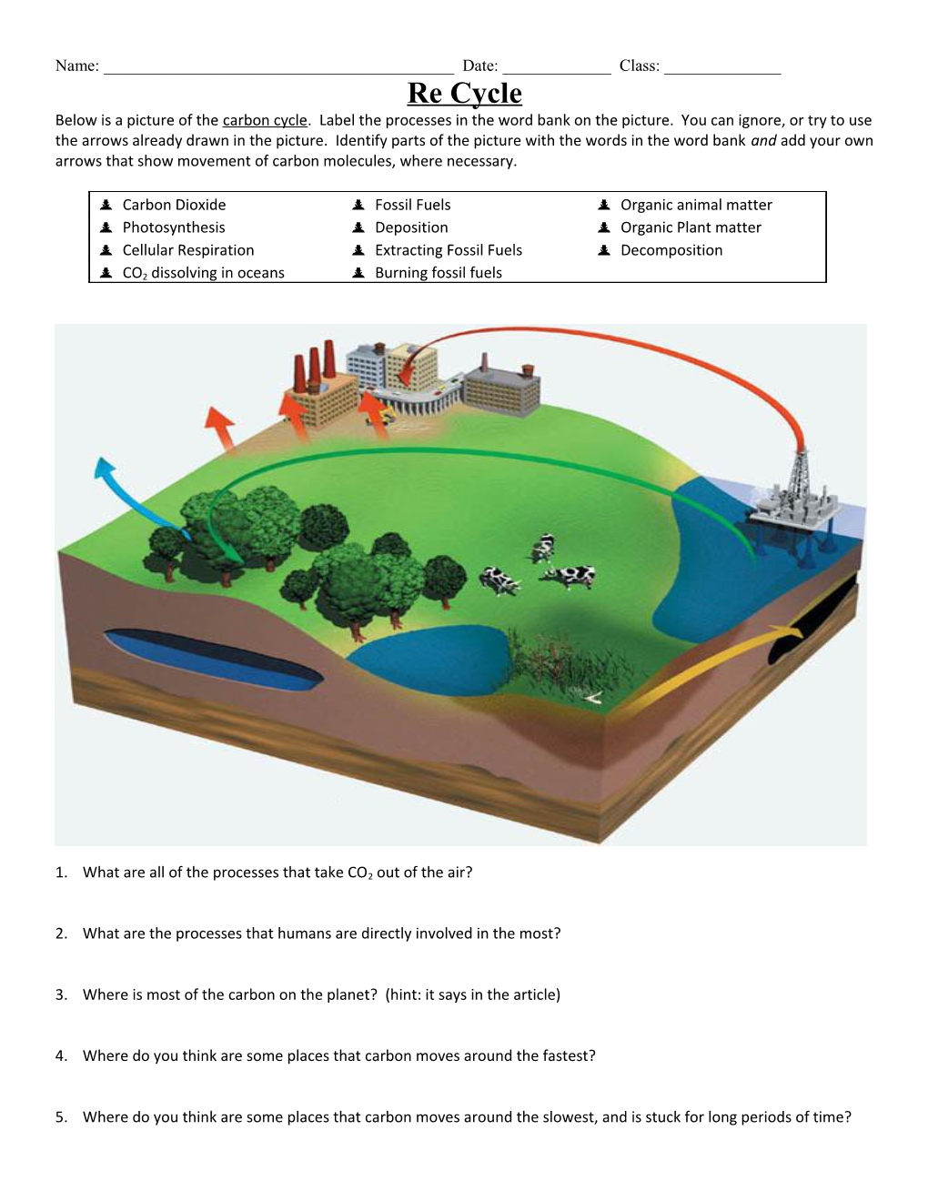 Below Is a Picture of the Carbon Cycle. Label the Processes in the Word Bank on the Picture