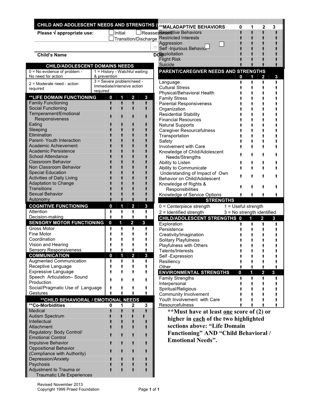 Child and Adolescent Needs and Strengths (Cans) s2