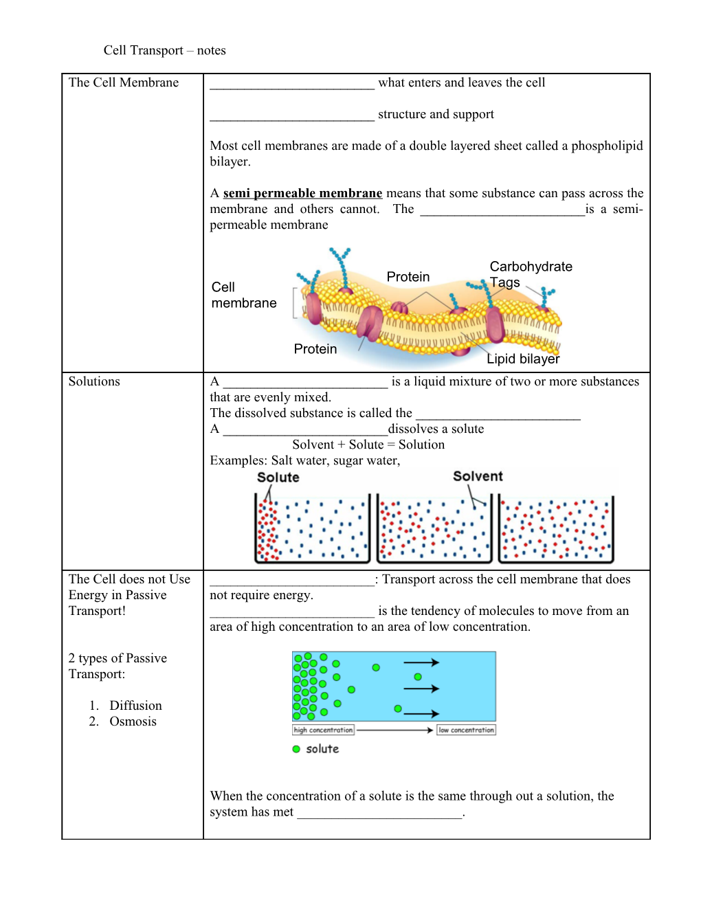 Cell Transport Notes