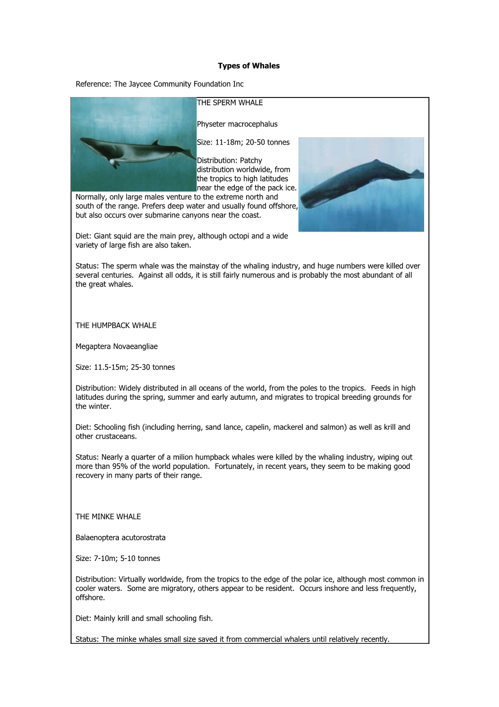 Types of Whales (The Jaycee Community Foundation Inc)