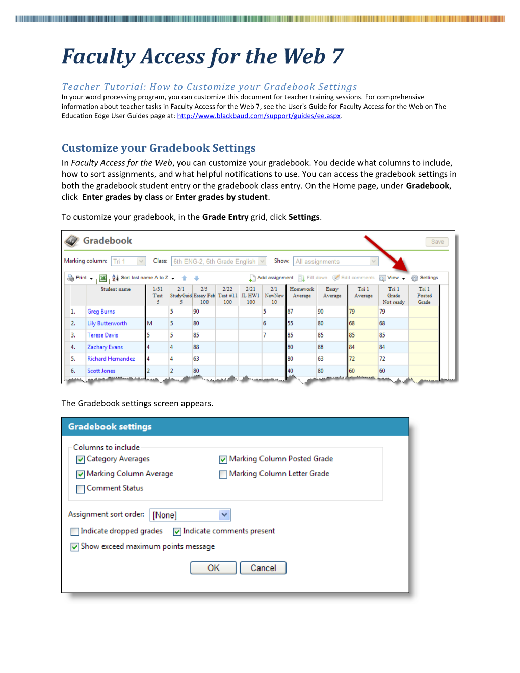 Faculty Access for the Web 7