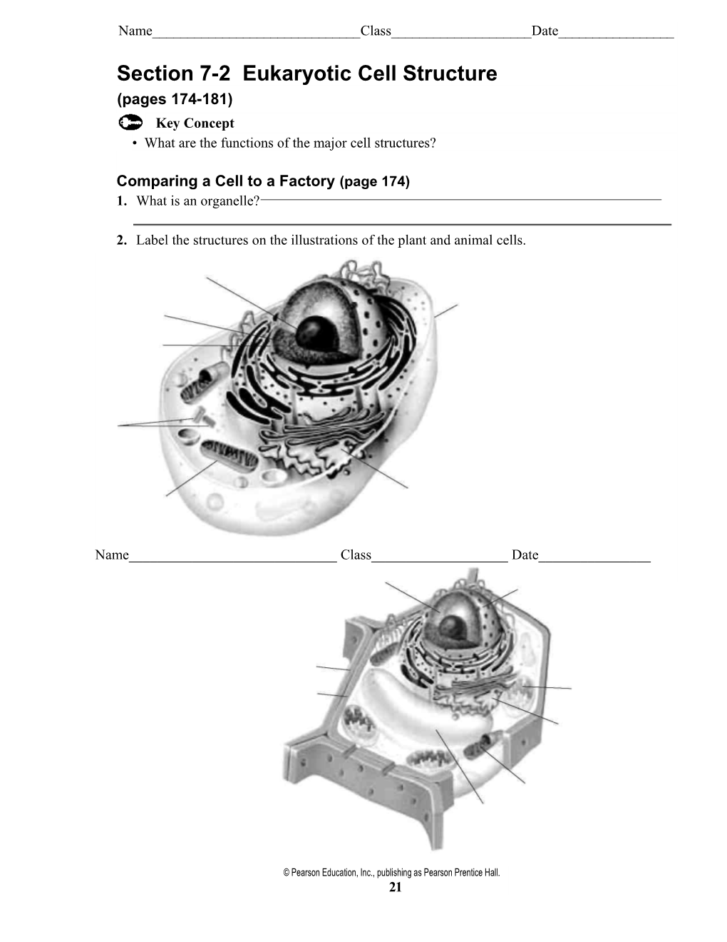 Section 7-2 Eukaryotic Cell Structure