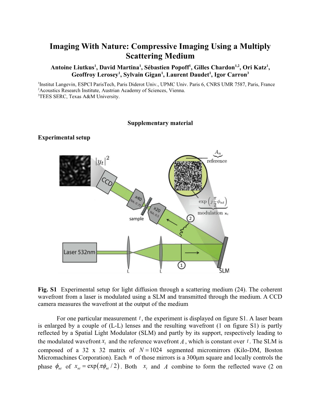 Imaging with Nature: Compressive Imaging Using a Multiply Scattering Medium