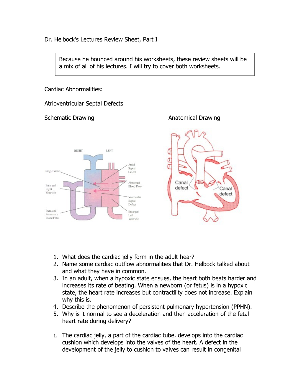 Dr. Helbock S Lectures Review Sheet, Part I