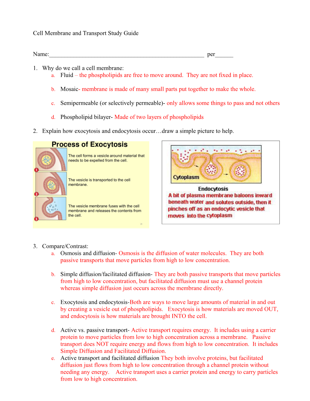 Cell Membrane and Transport Study Guide