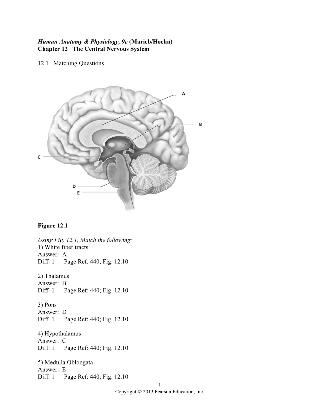 Human Anatomy & Physiology, 9E (Marieb/Hoehn)