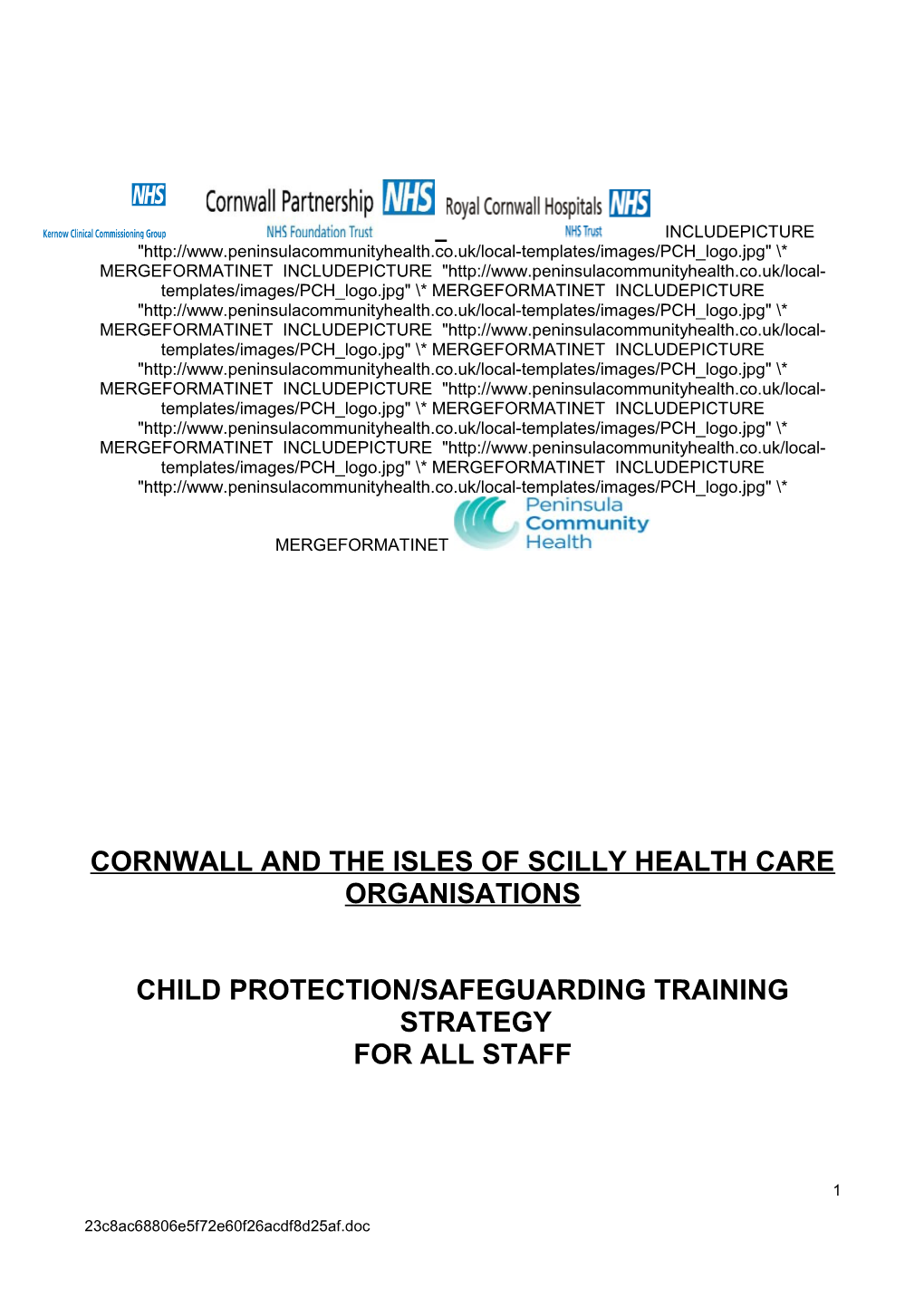 Somerset PCT Child Protection Training Strategy