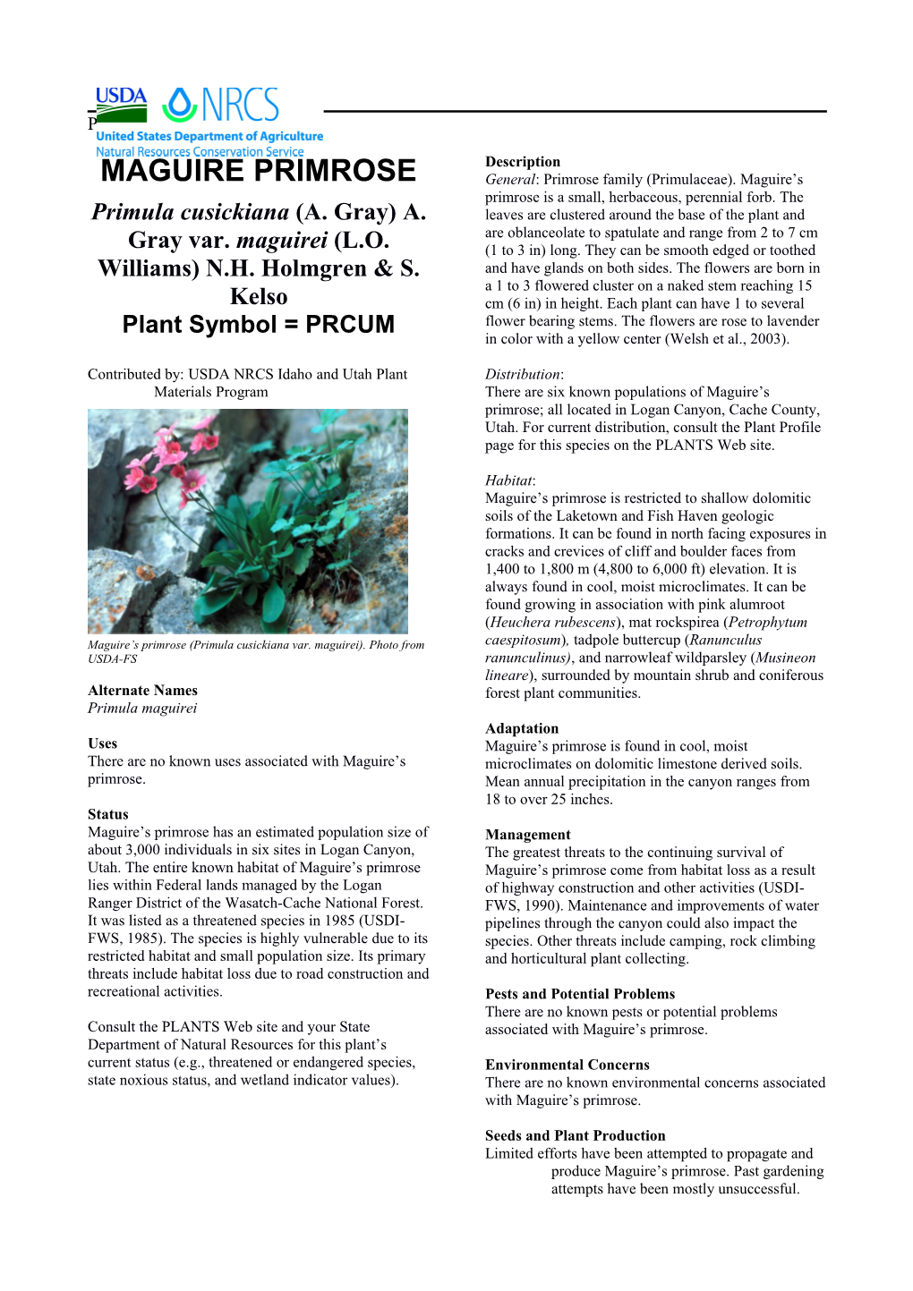 Plant Guide for Maguire's Primrose (Primula Cusickiana Var. Maguirei)
