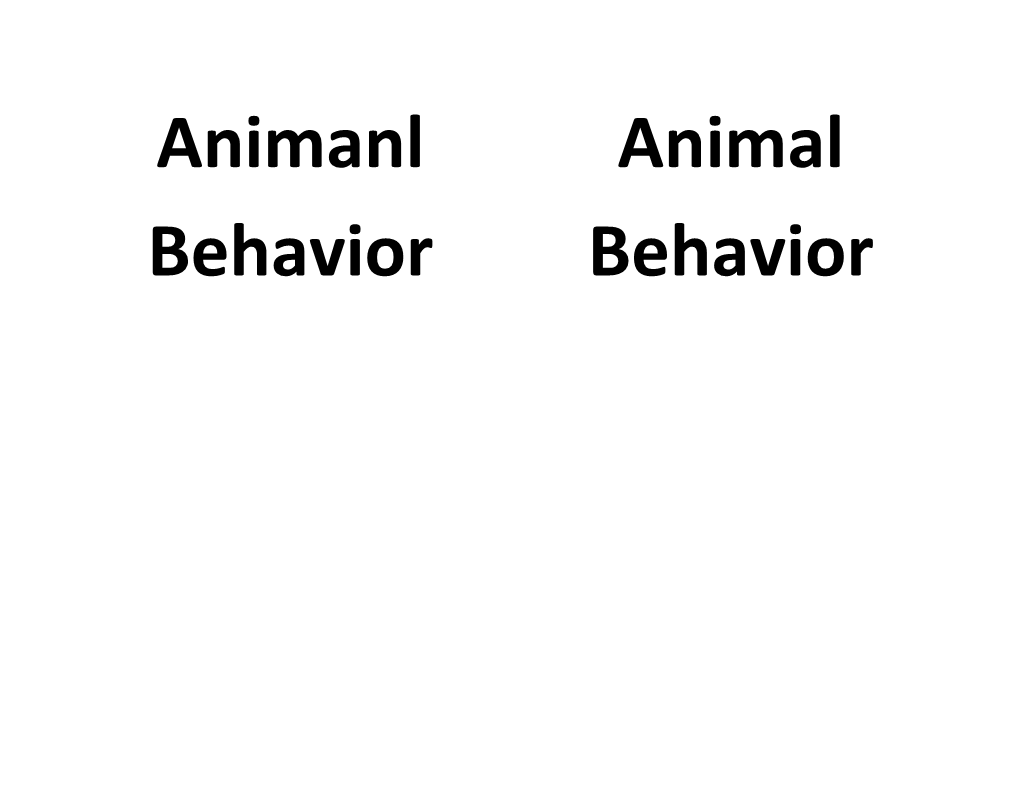 Animanl Behavior