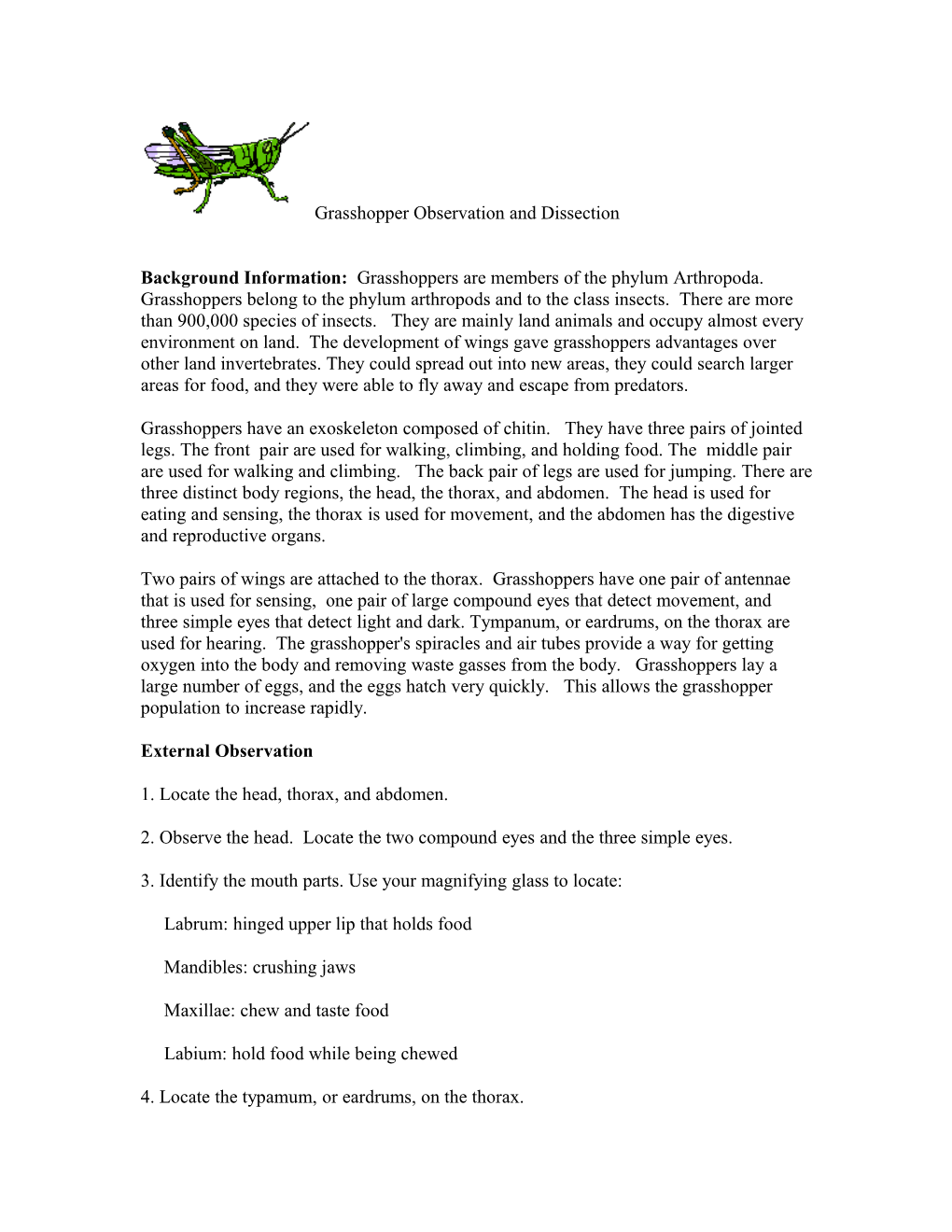 Grasshopper Observation and Dissection