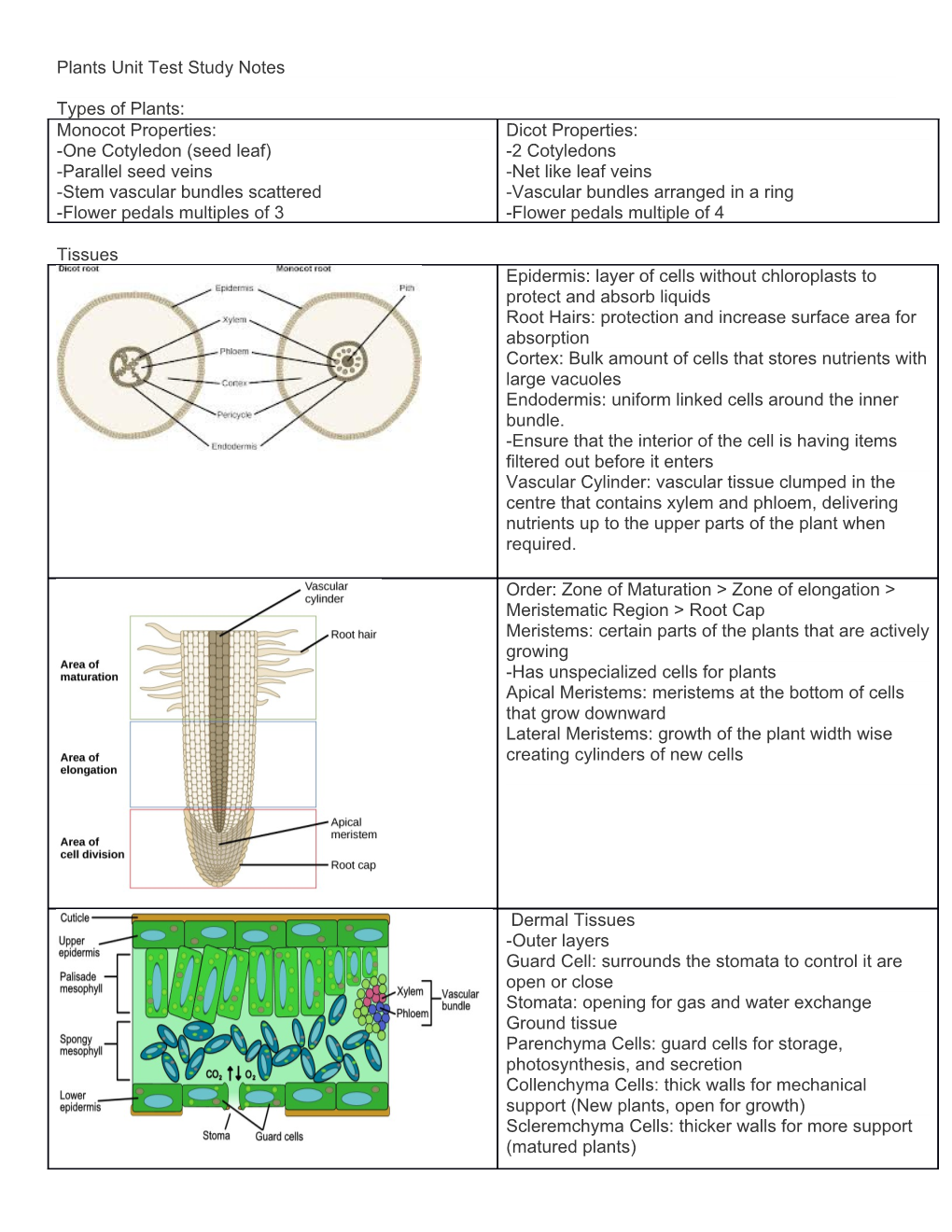 Plants Unit Test Study Notes