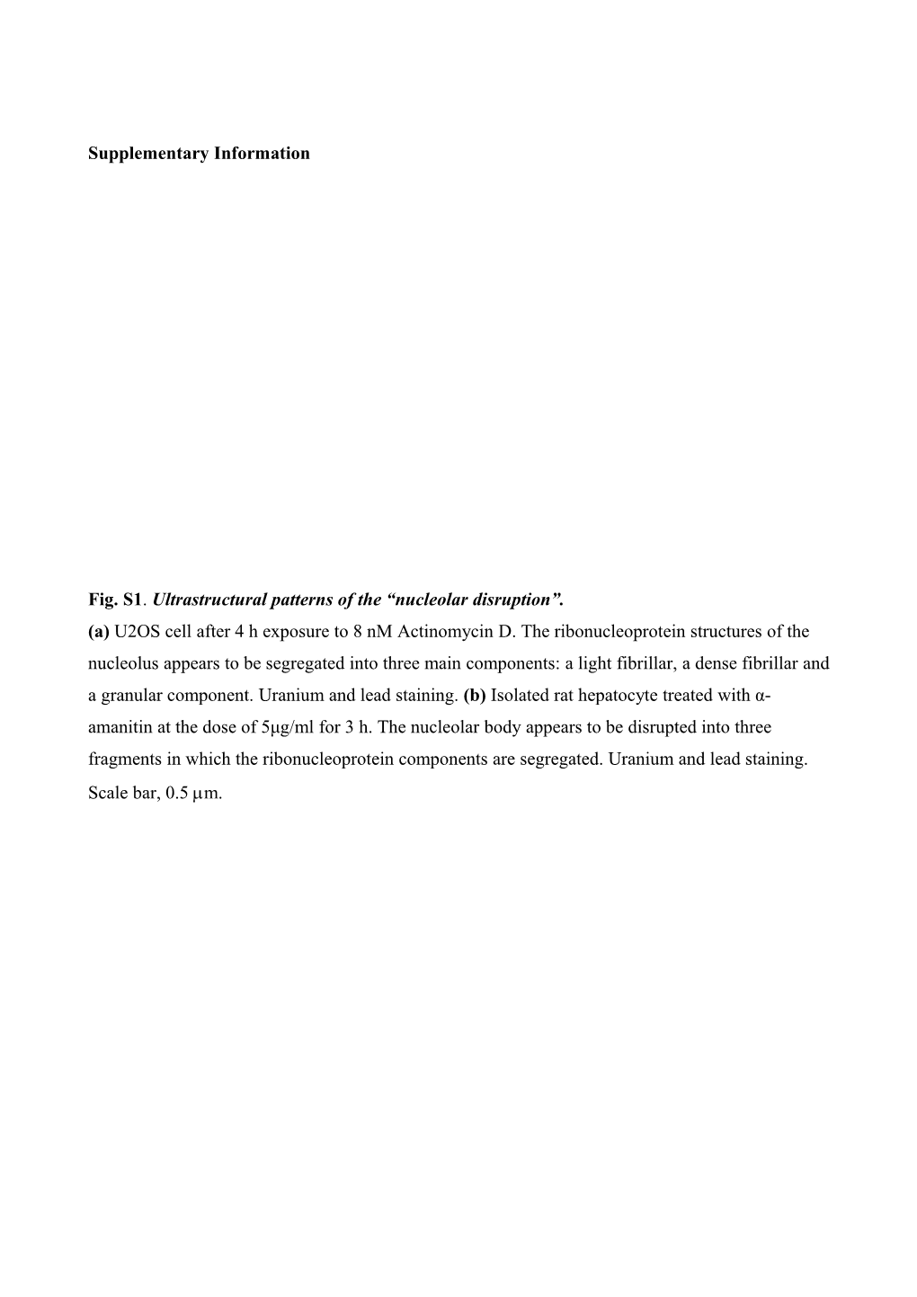 Unbalancing of Rrna and Ribosomal Proteins Synthesis Controls P53 Stabilisation