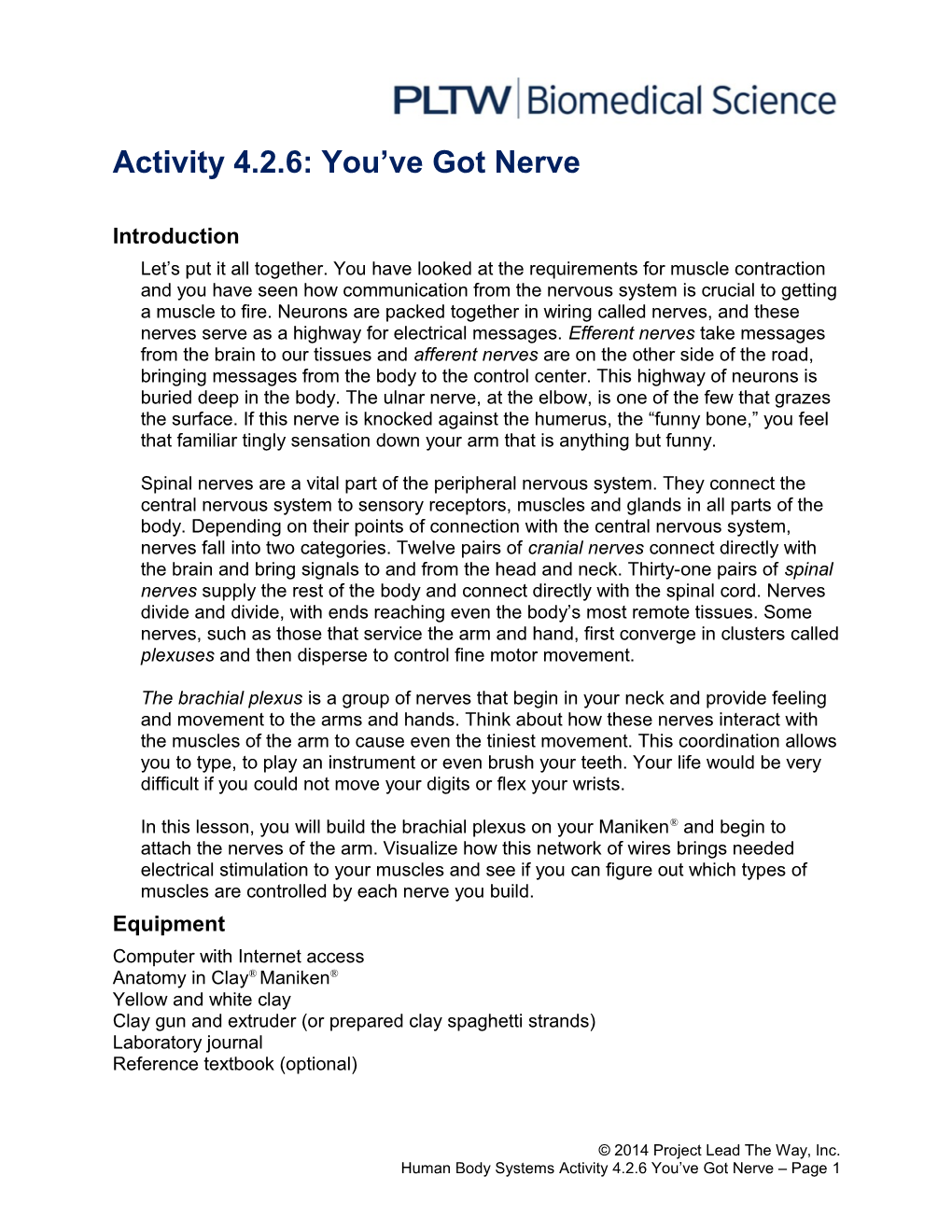 Activity 4.2.6: You Ve Got Nerve