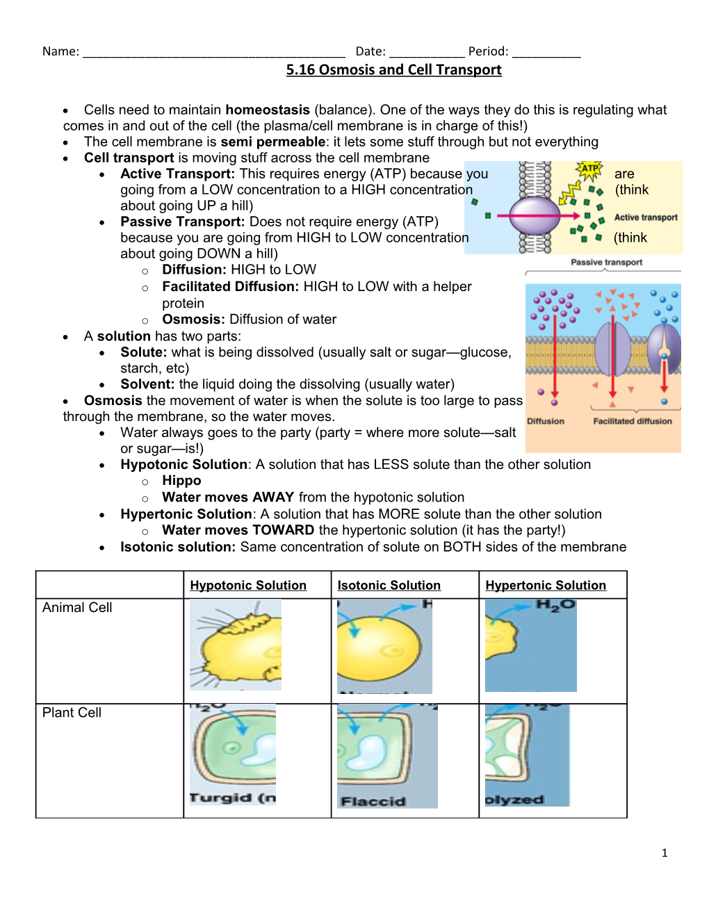 5.16 Osmosis and Cell Transport