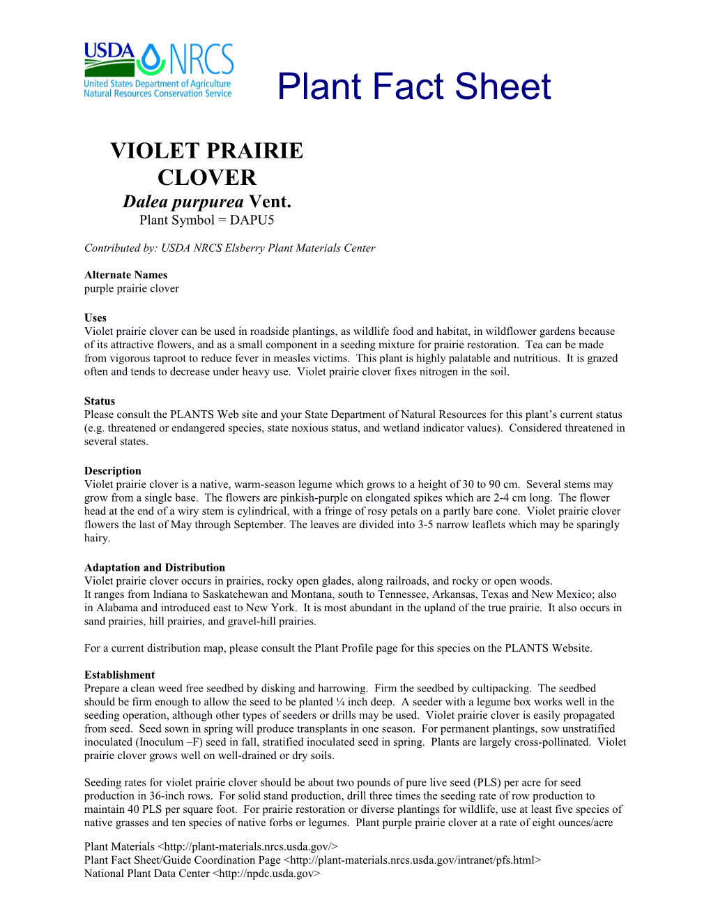 Violet Prairie Clover