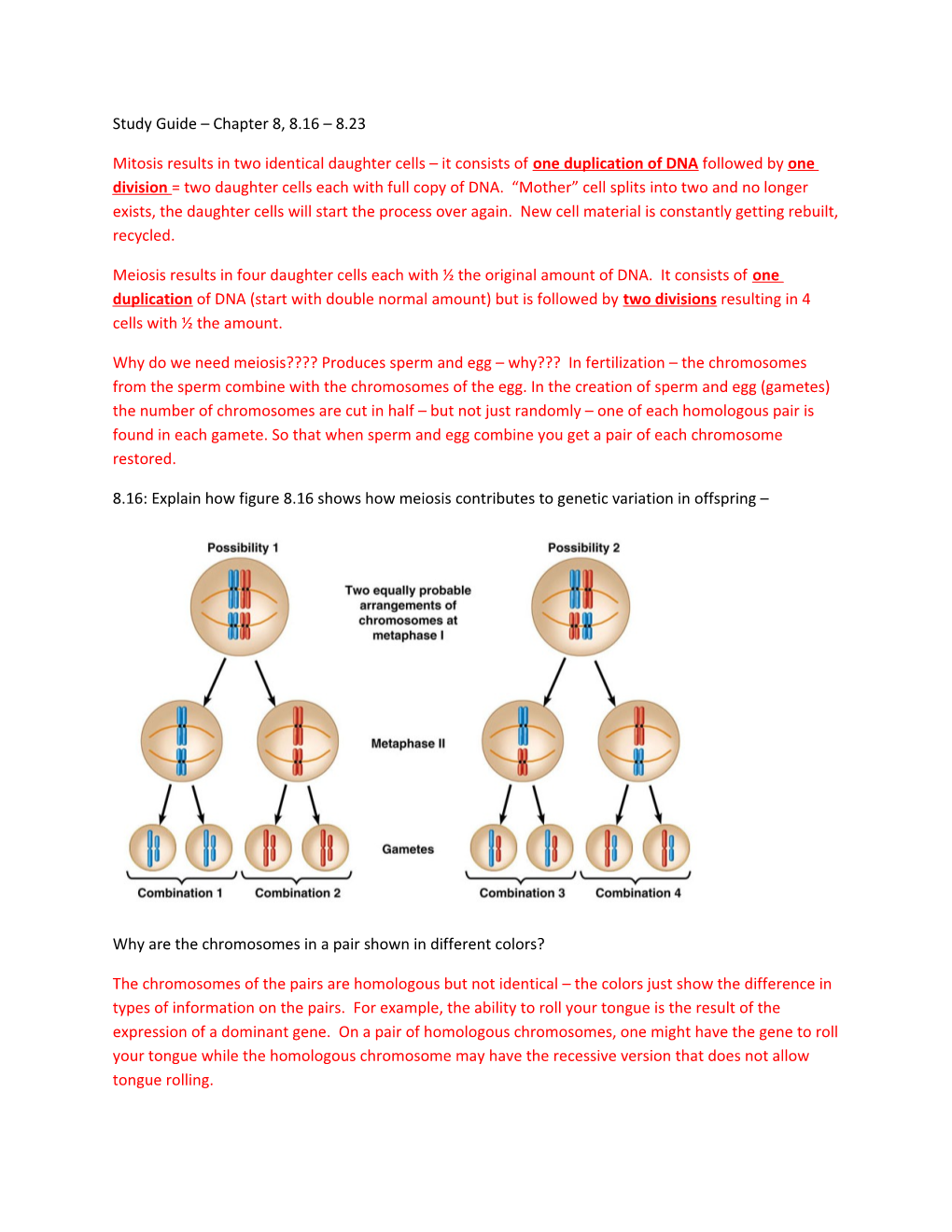 Study Guide Chapter 8, 8