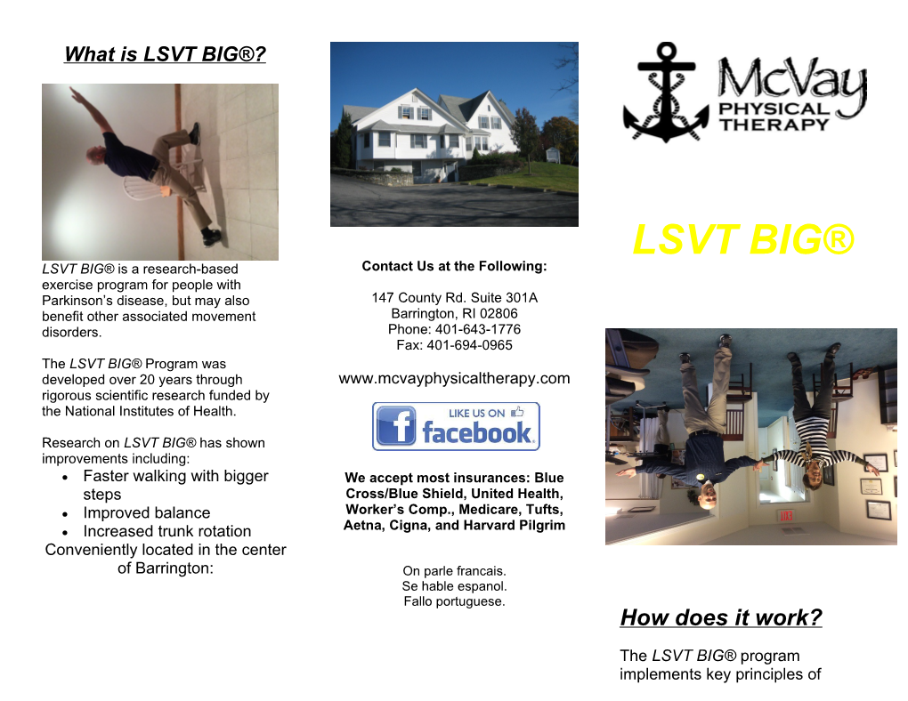 What Is LSVT BIG ?