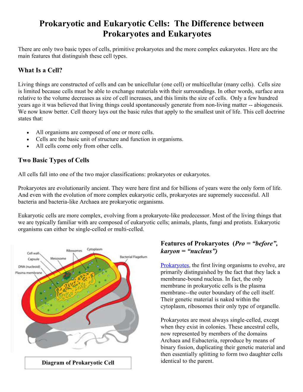 Prokaryotic and Eukaryotic Cells s1