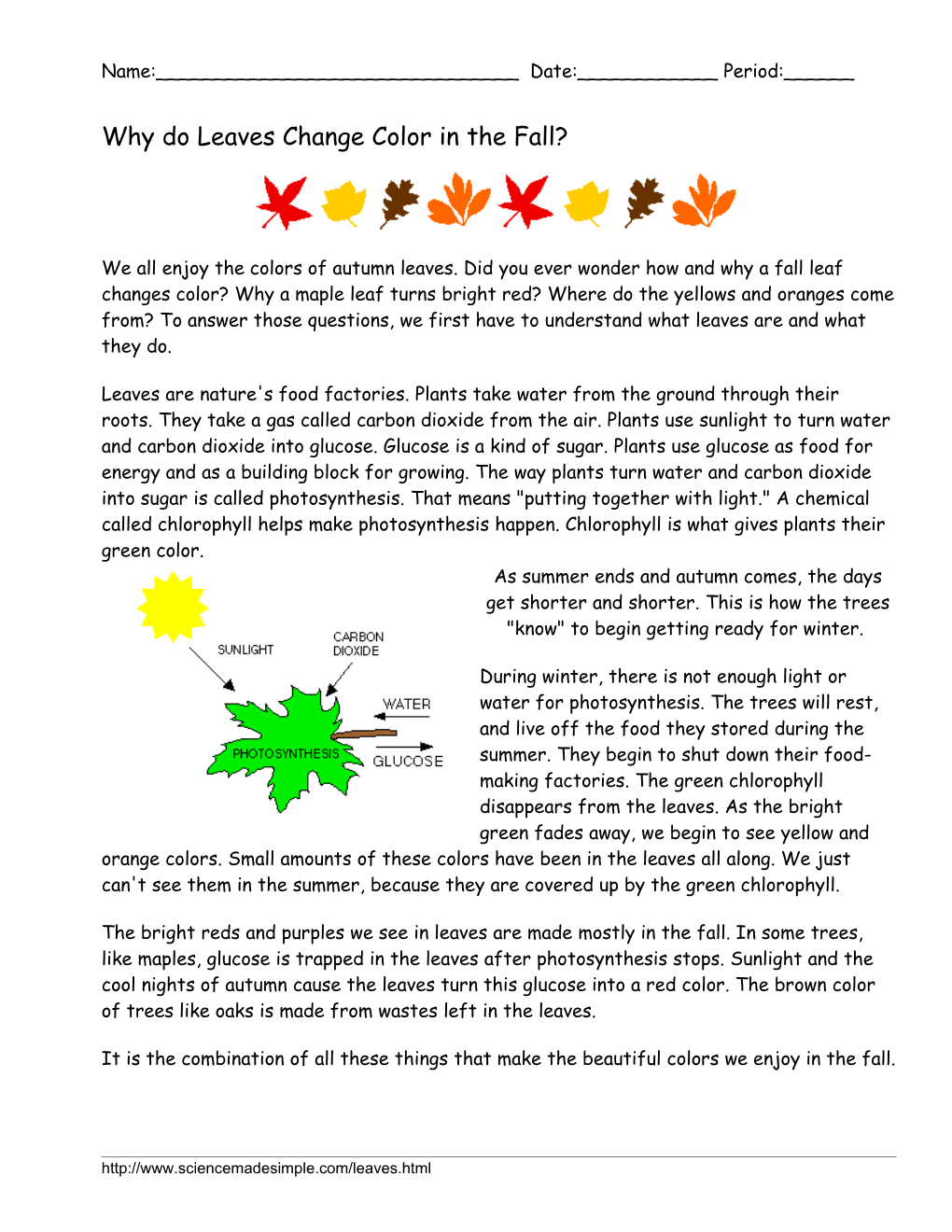 Why Do Leaves Change Color in the Fall?