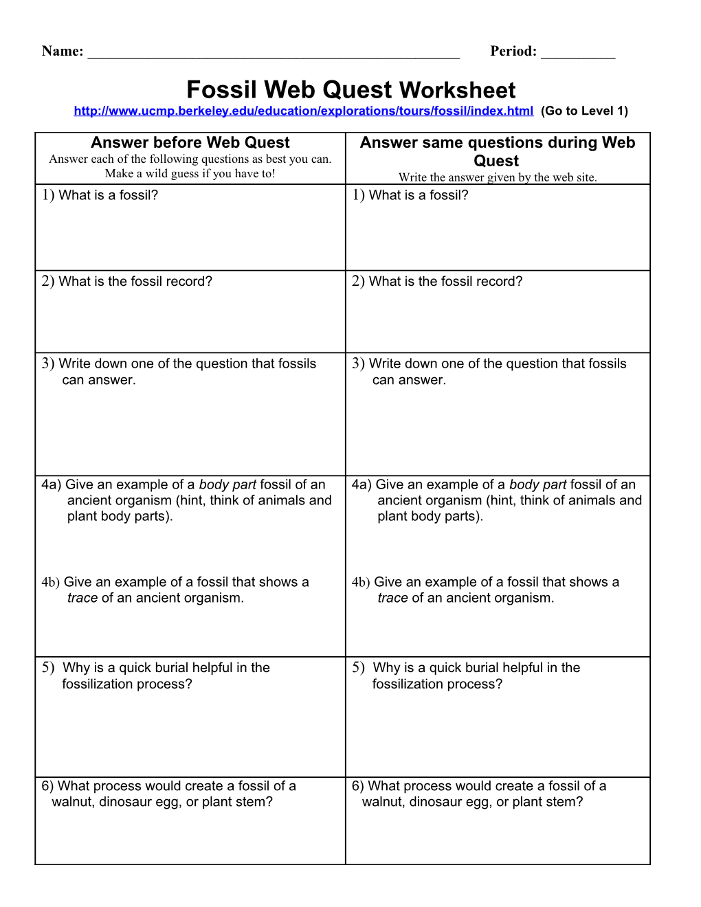 Fossil Web Quest Worksheet