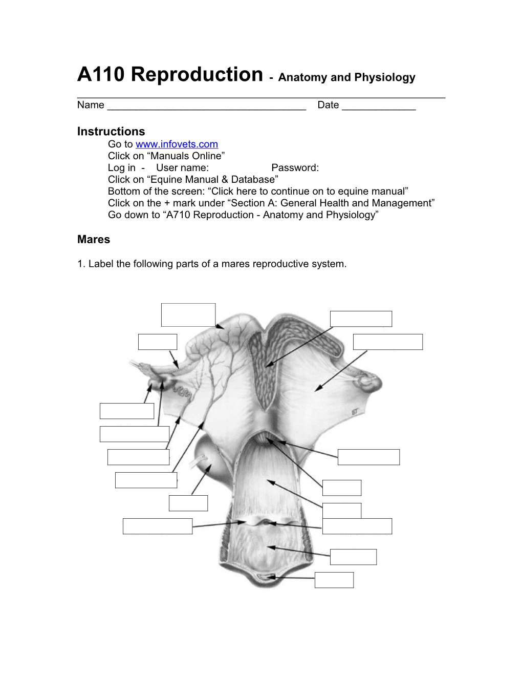 A110 Reproduction -Anatomy and Physiology