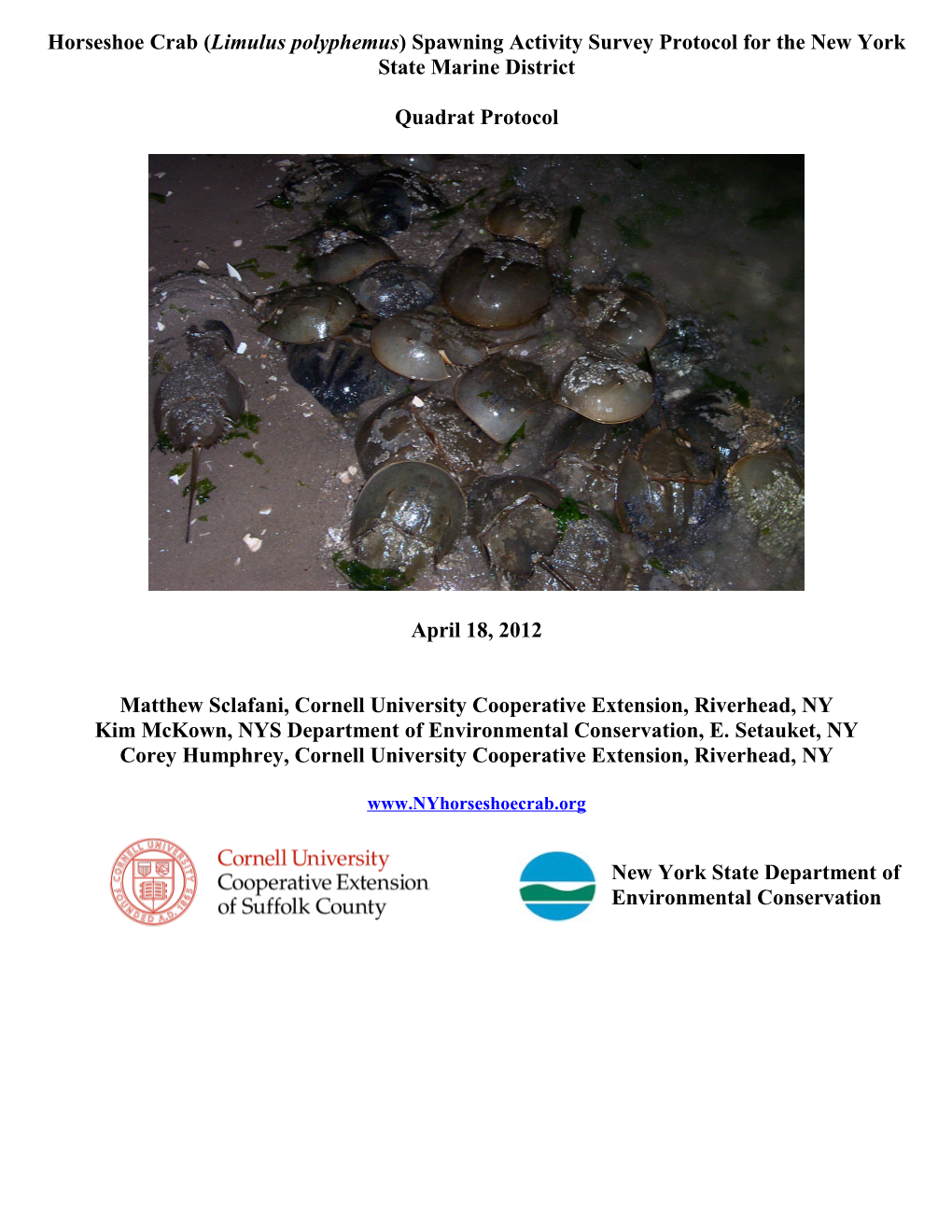 Horseshoe Crab (Limulus Polyphemus) Spawning Activity Survey Protocol for the New York