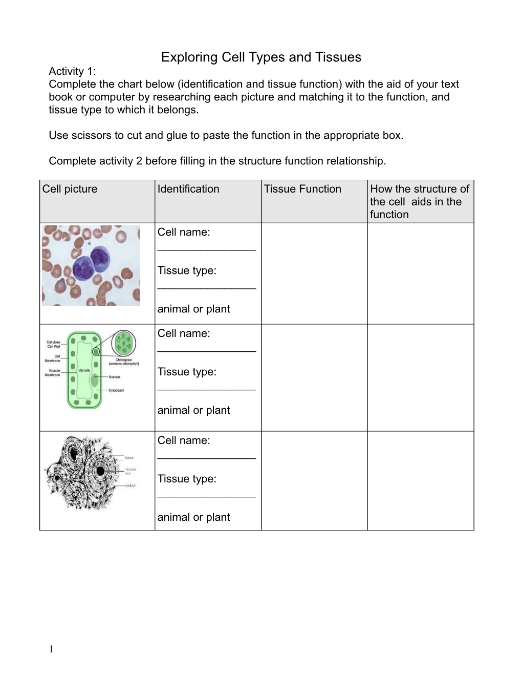 Exploring Cell Types and Tissues