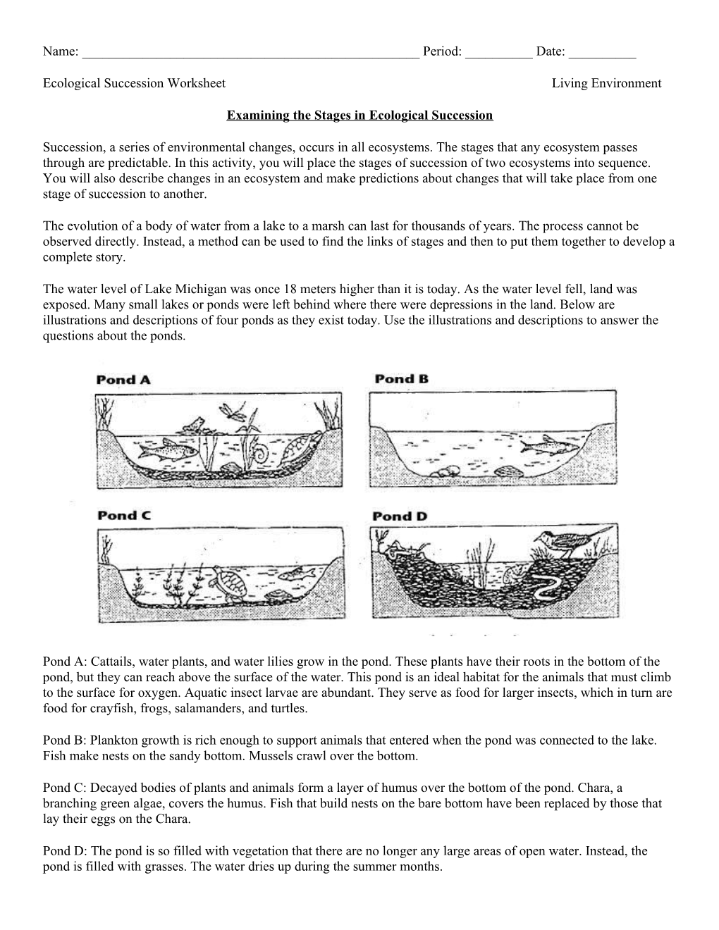 Ecological Succession Worksheet Living Environment