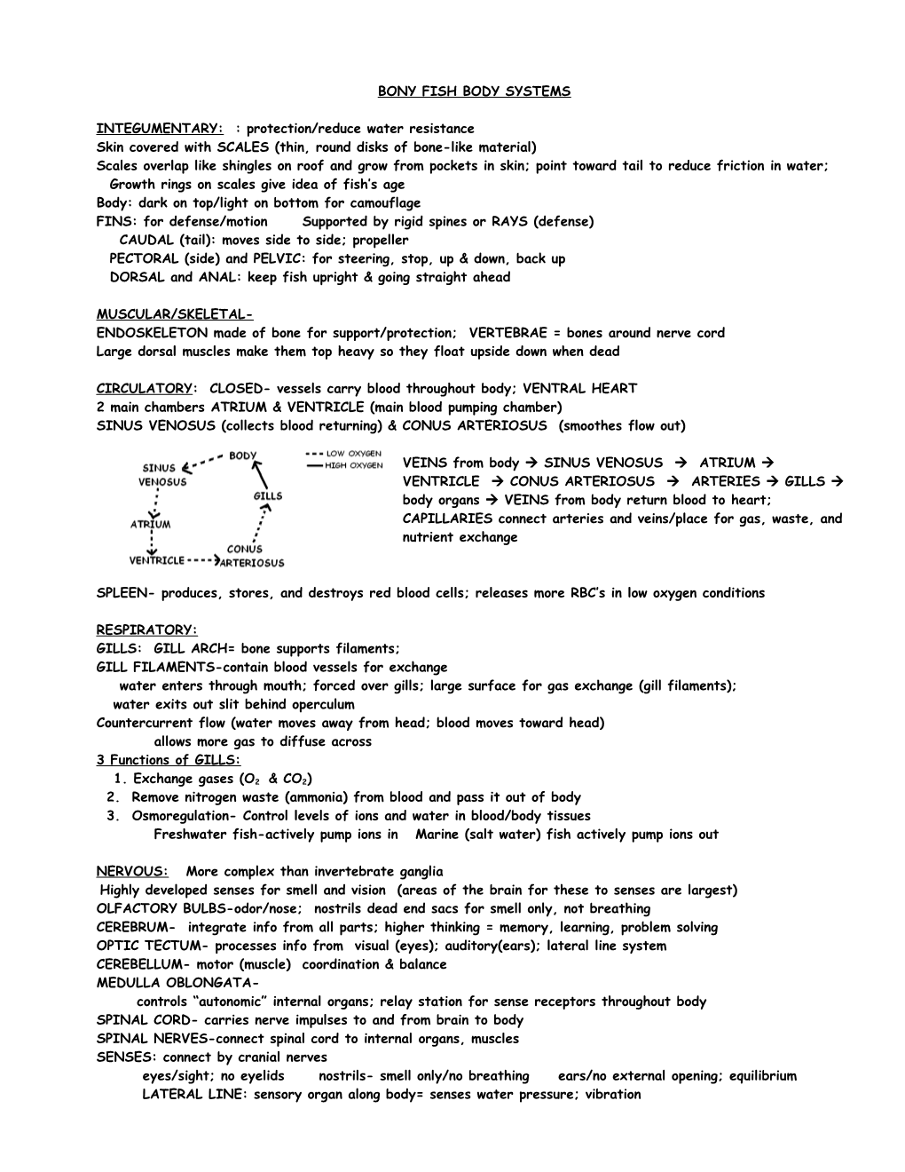 Fish Body Systems