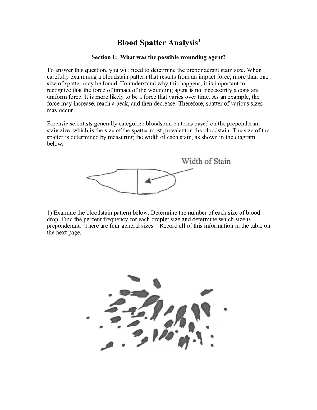 Blood Spatter Analysis