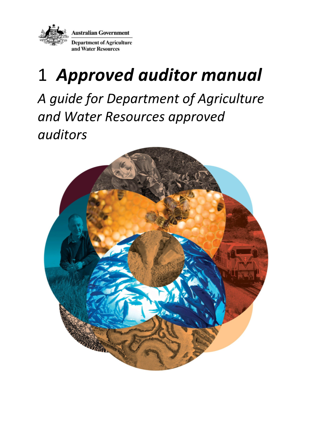 Approved Auditor Manual