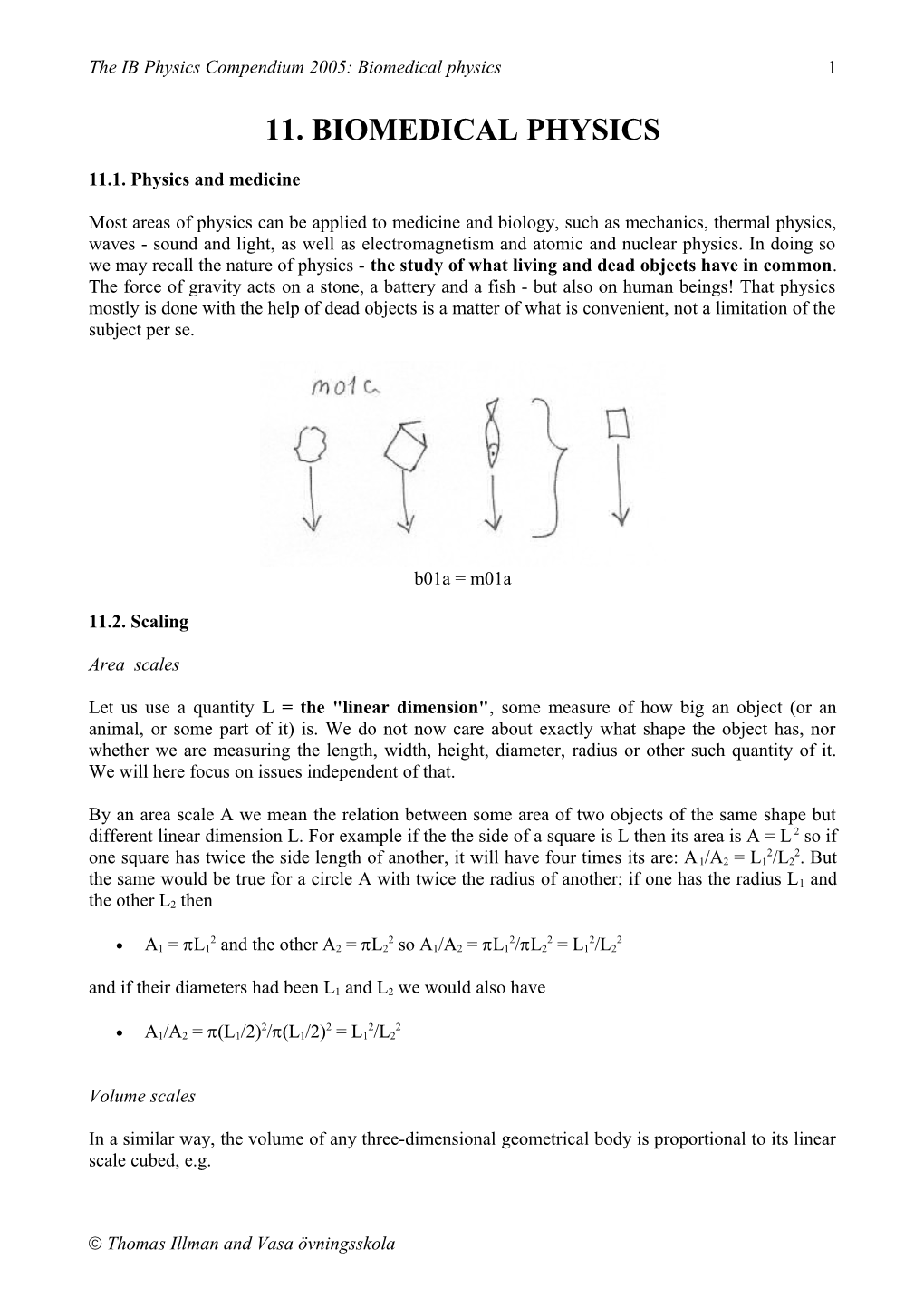 The IB Physics Compendium 2005: Biomedical Physics