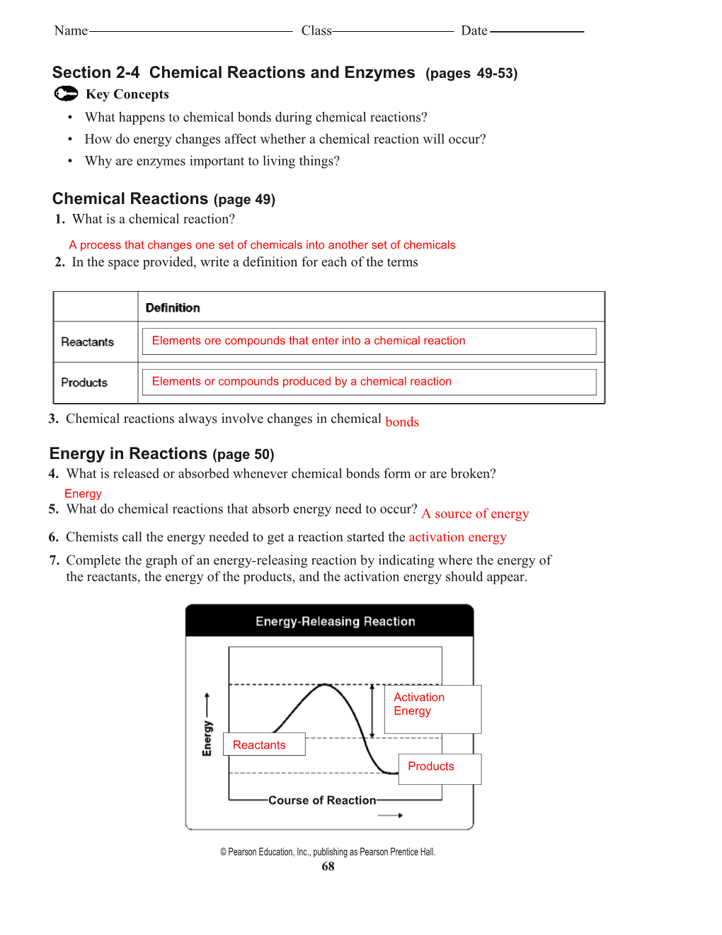 Prentice Hall Biology Worksheets