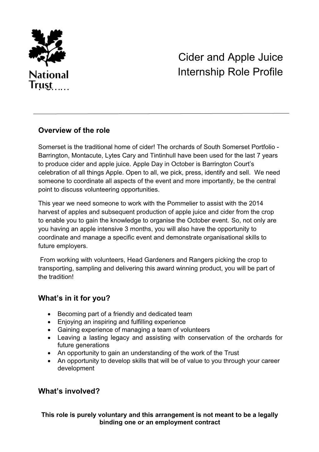 Internship Role Profile Template