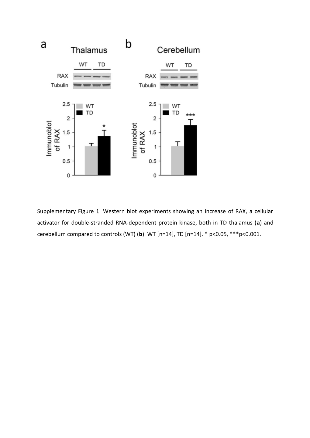 Supplementary Figure 3. Eif2α Activation and Eif2α Kinases Level in TD Brain Structures