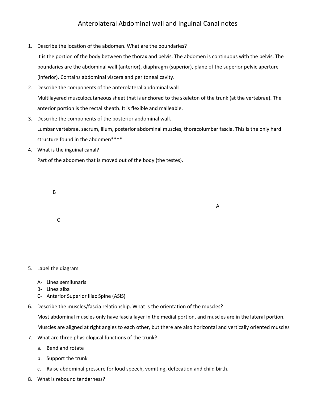 Anterolateral Abdominal Wall and Inguinal Canal Notes