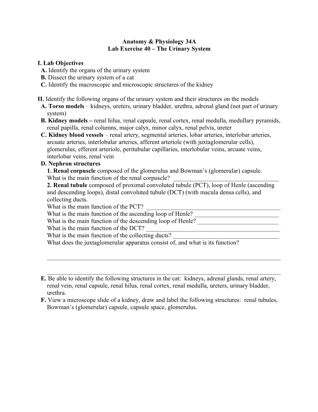 Lab Exercise 40 the Urinary System