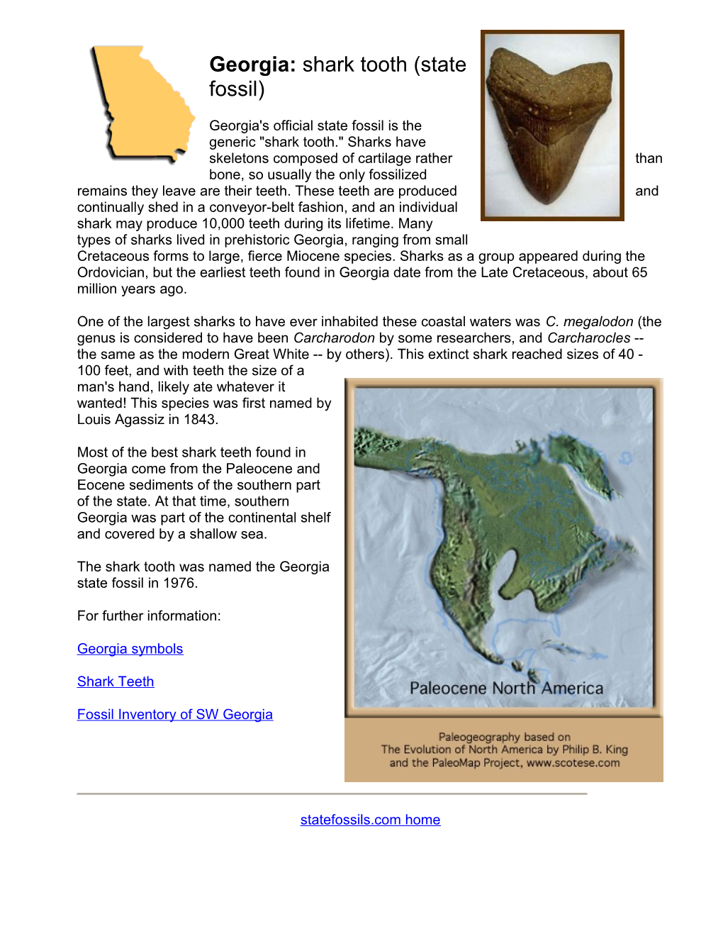 Georgia: Shark Tooth (State Fossil)
