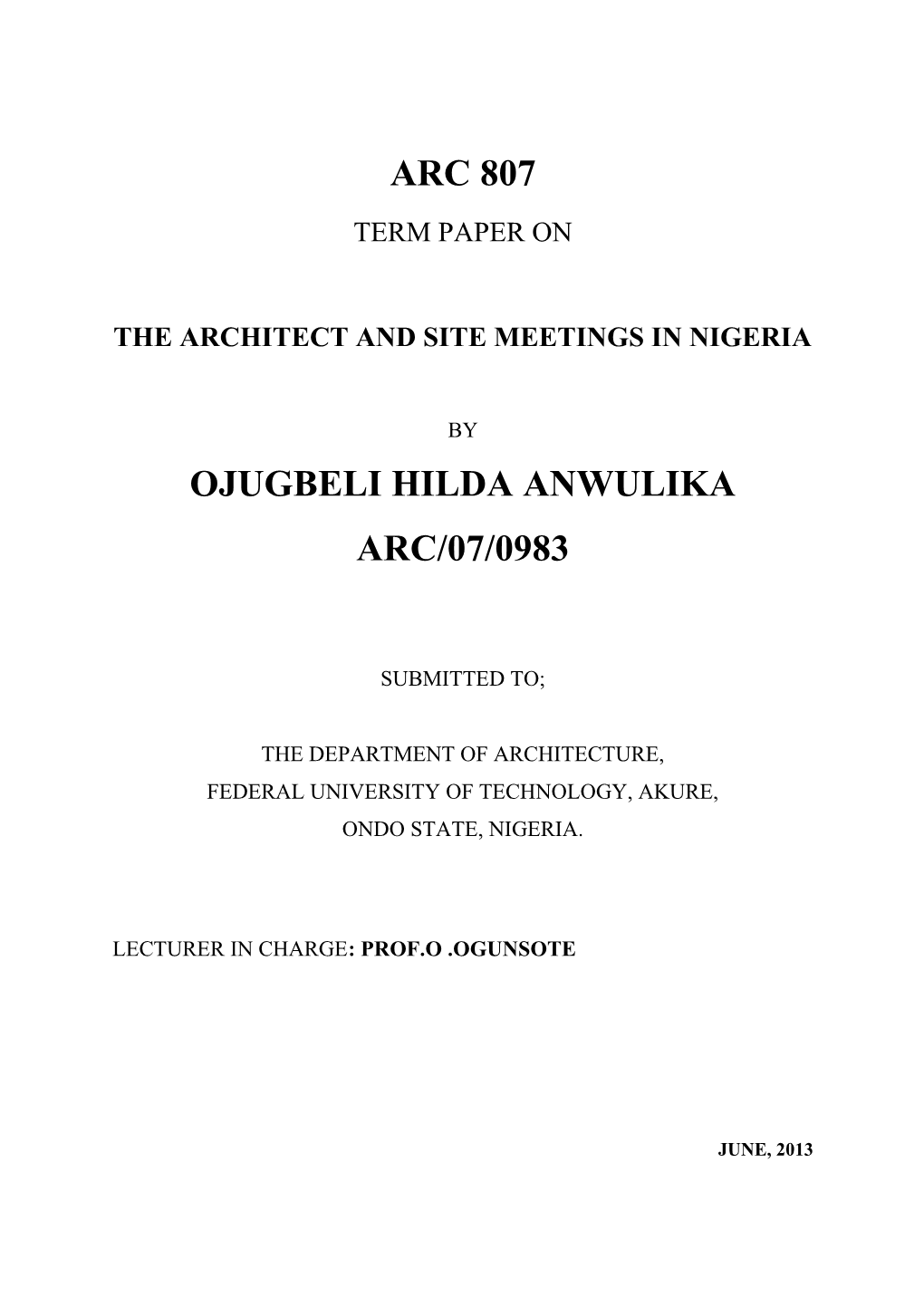 The Architect and Site Meetings in Nigeria