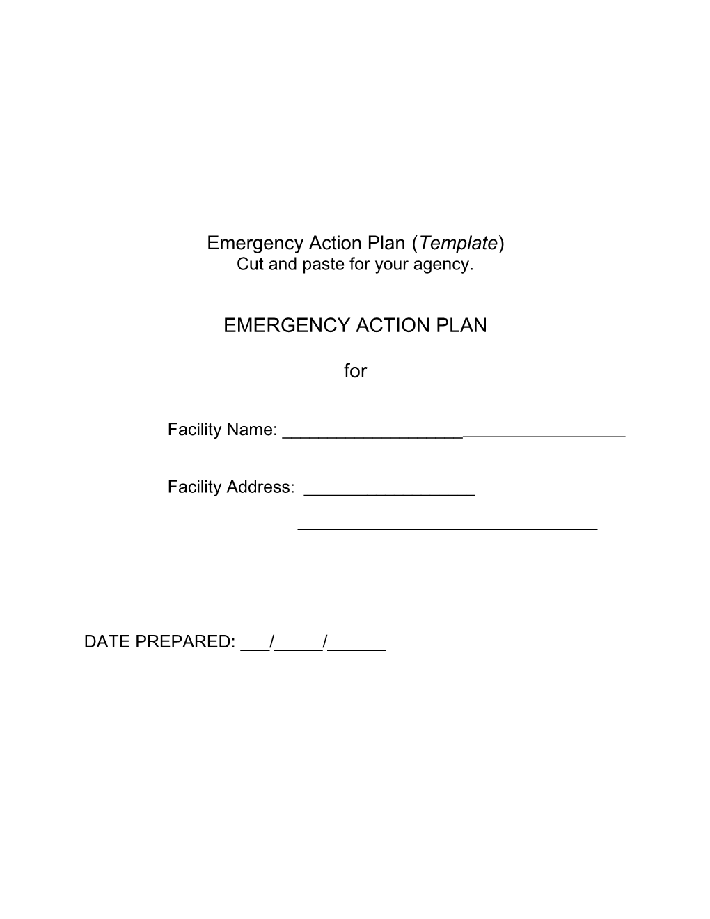 Emergency Action Plan (Template)