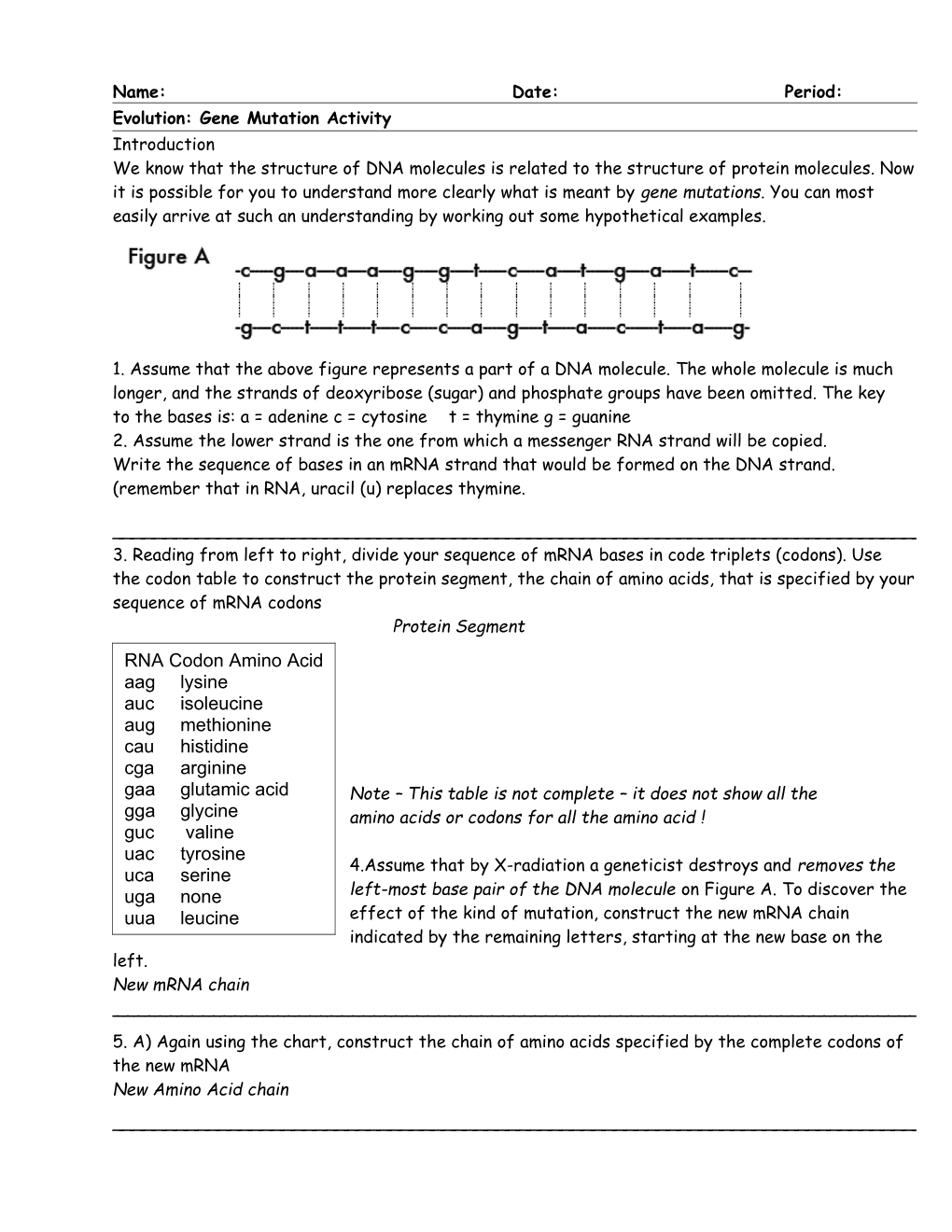 Evolution: Gene Mutation Activity