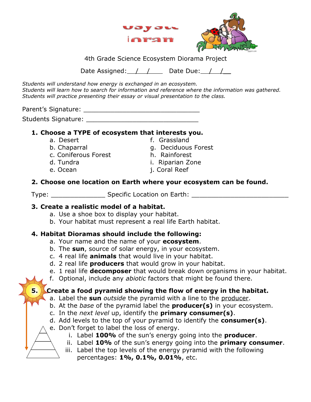 4Th Grade Science Ecosystem Diorama Project