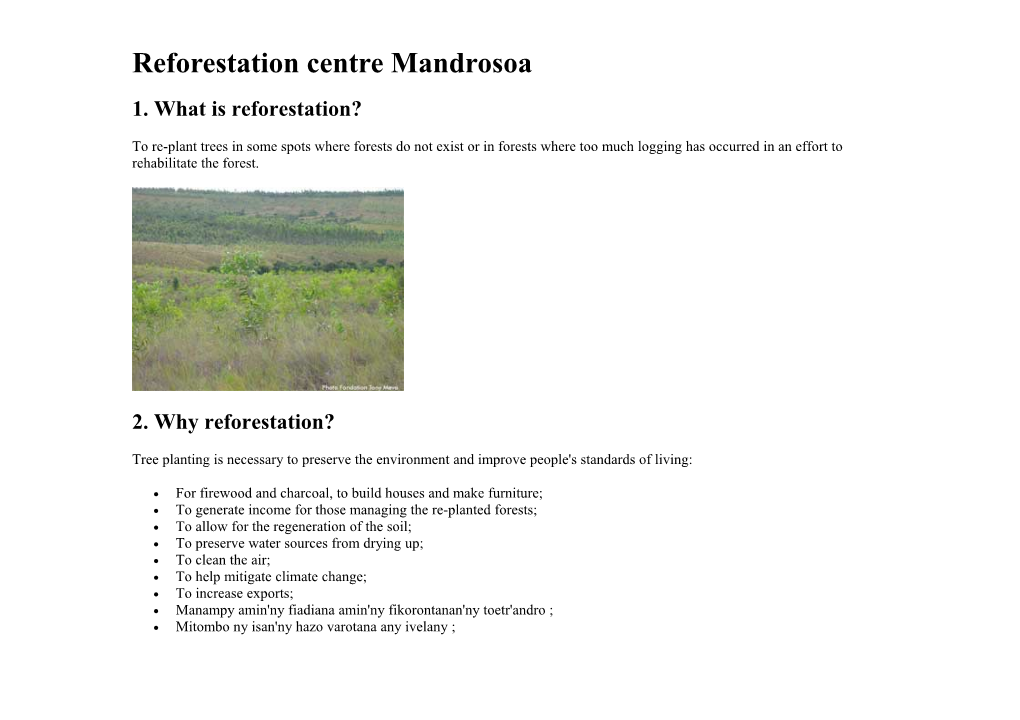 Homepage the Mandrosoa Project News Contact Us Website Plan Partners
