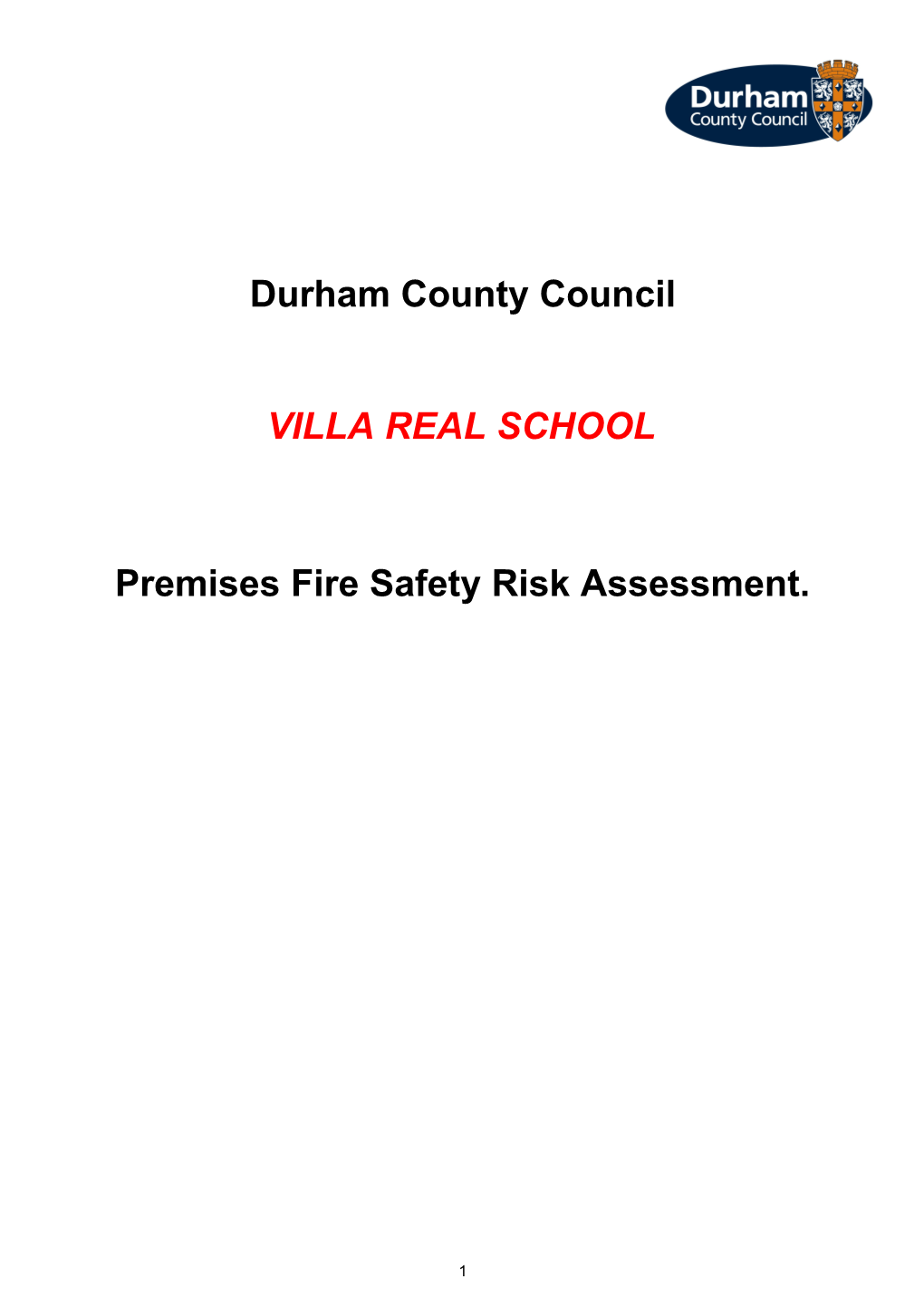 Blank Fire Risk Assessment