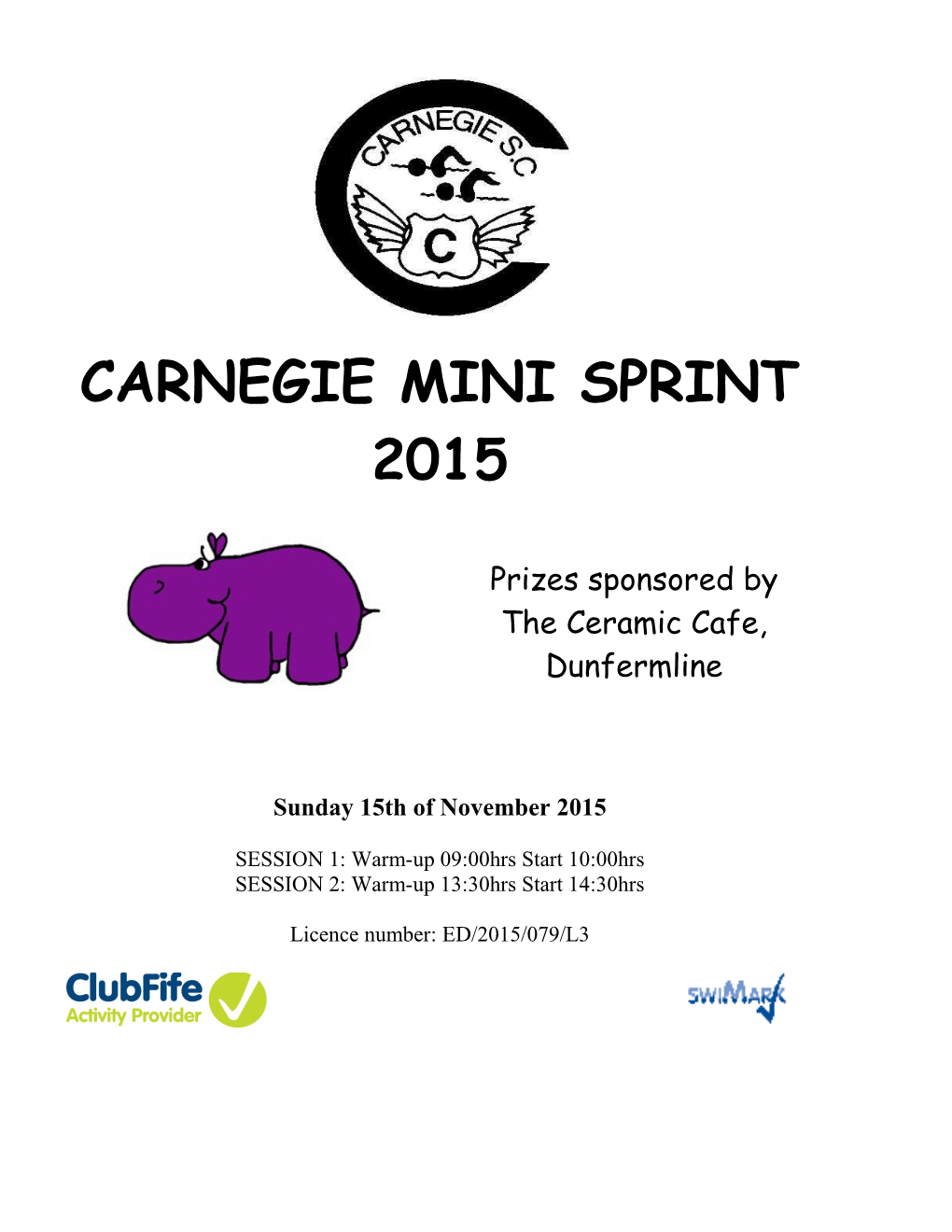 Carnegie Mini Sprint2015