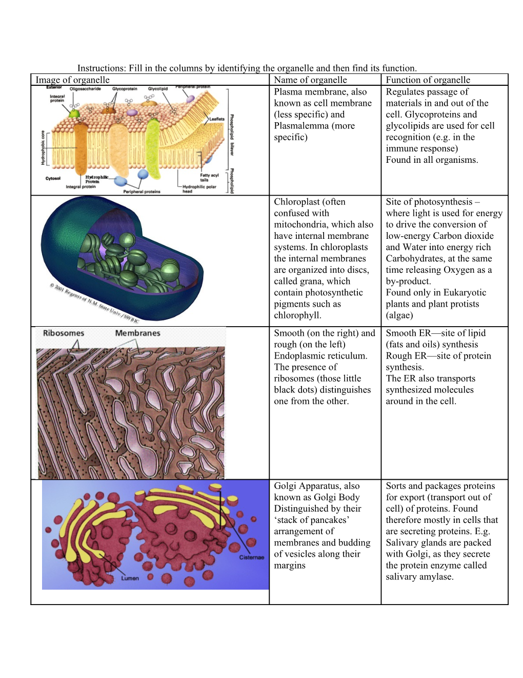 Instructions: Fill in the Columns by Identifying the Organelle and Then Find Its Function