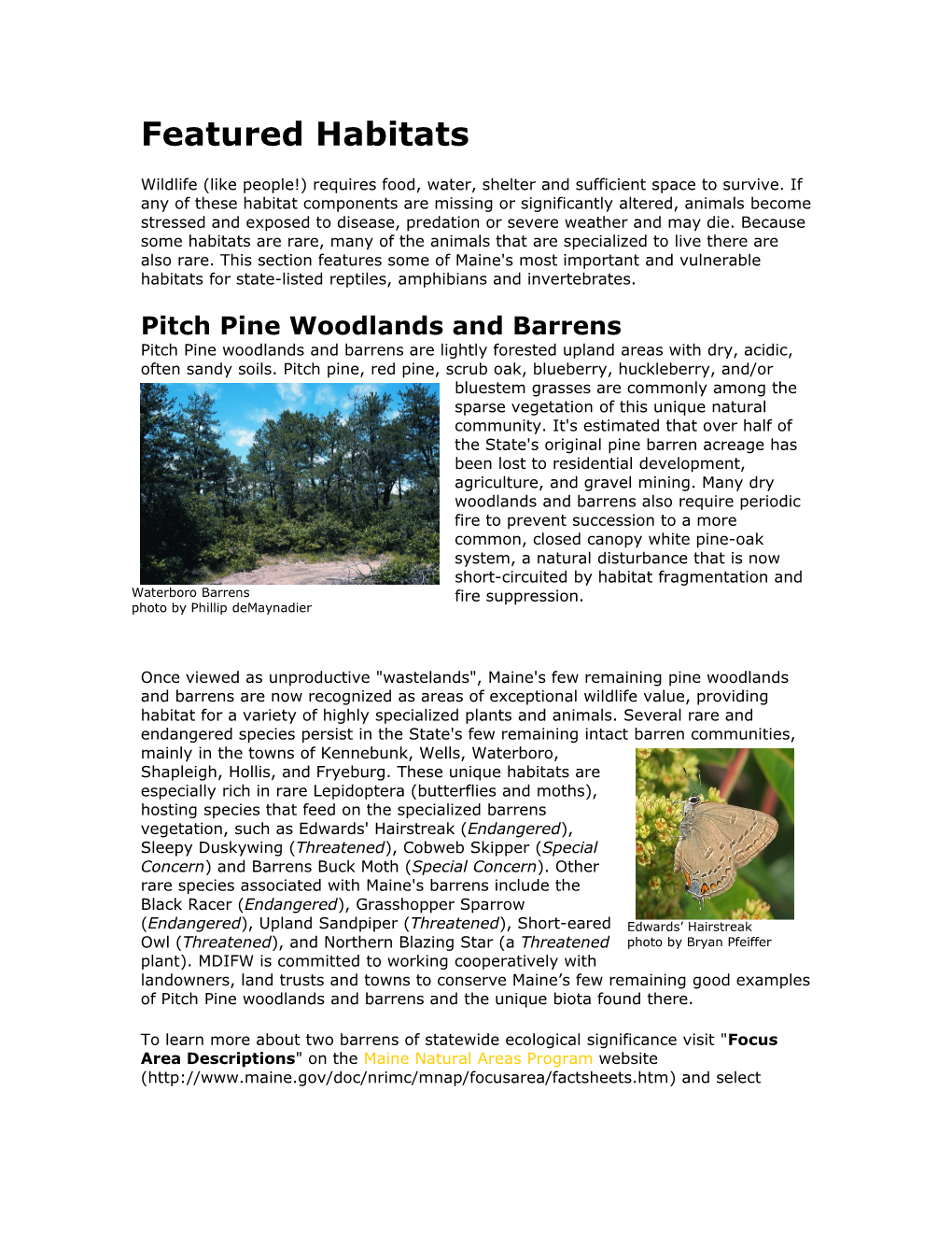 Pitch Pine Woodlands and Barrens